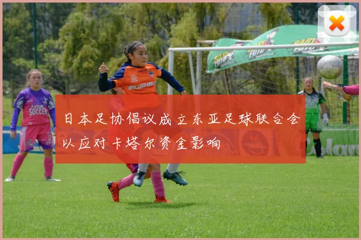 日本足协倡议成立东亚足球联合会以应对卡塔尔资金影响