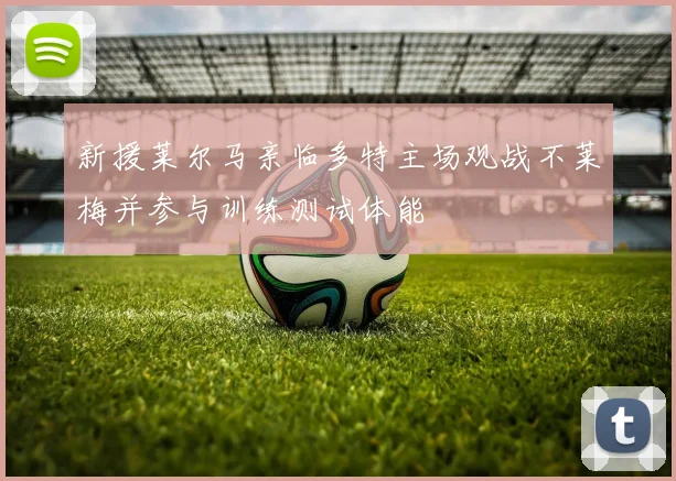 新援莱尔马亲临多特主场观战不莱梅并参与训练测试体能