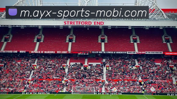 爱游戏APP 封面图